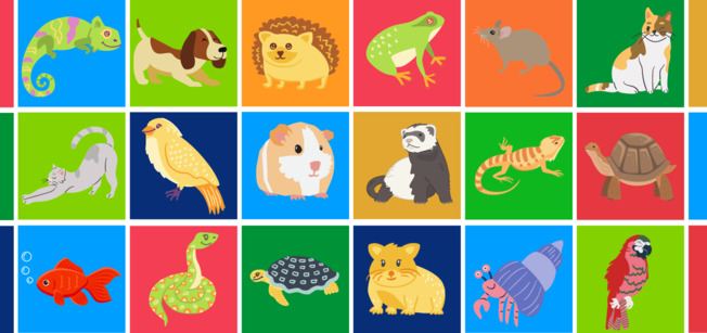 What Pets are Really Included in a “No Pets” Policy?